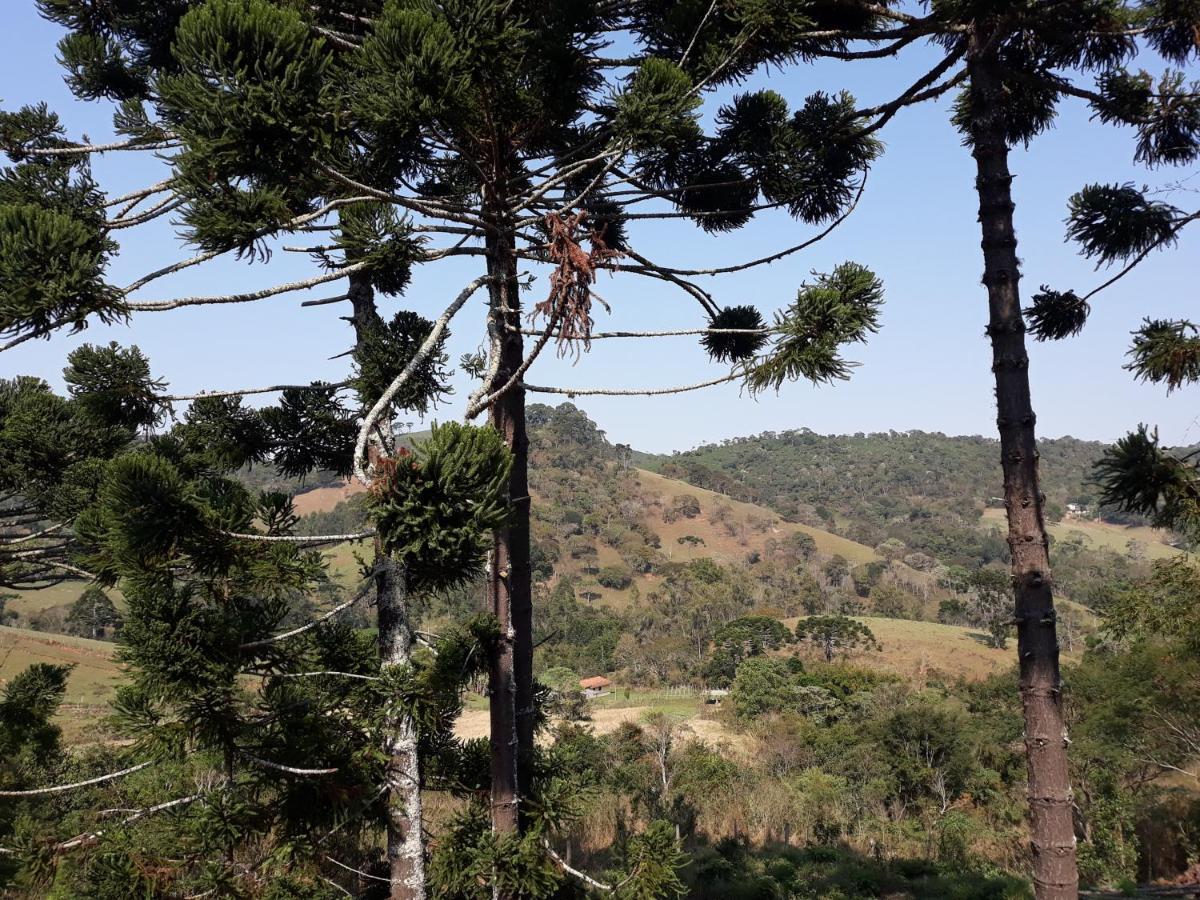 Solar Dos Pinhais Inn